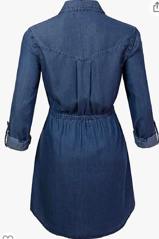 Denim Chambray Dress